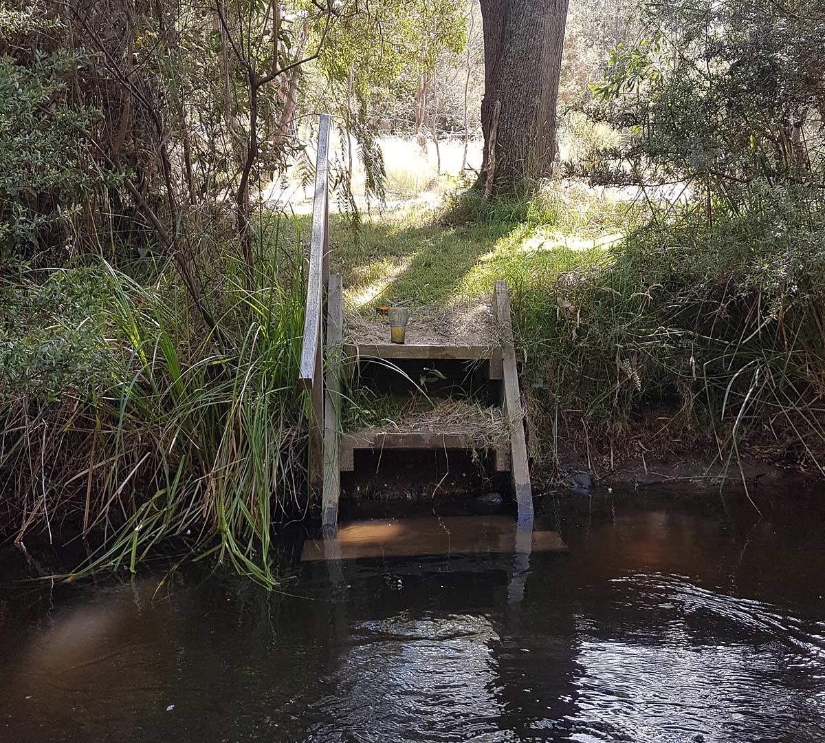 The steps down to the swimming hole.